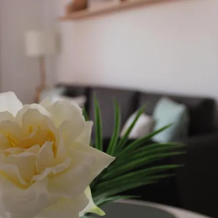 Sweet Sunset Chayofa